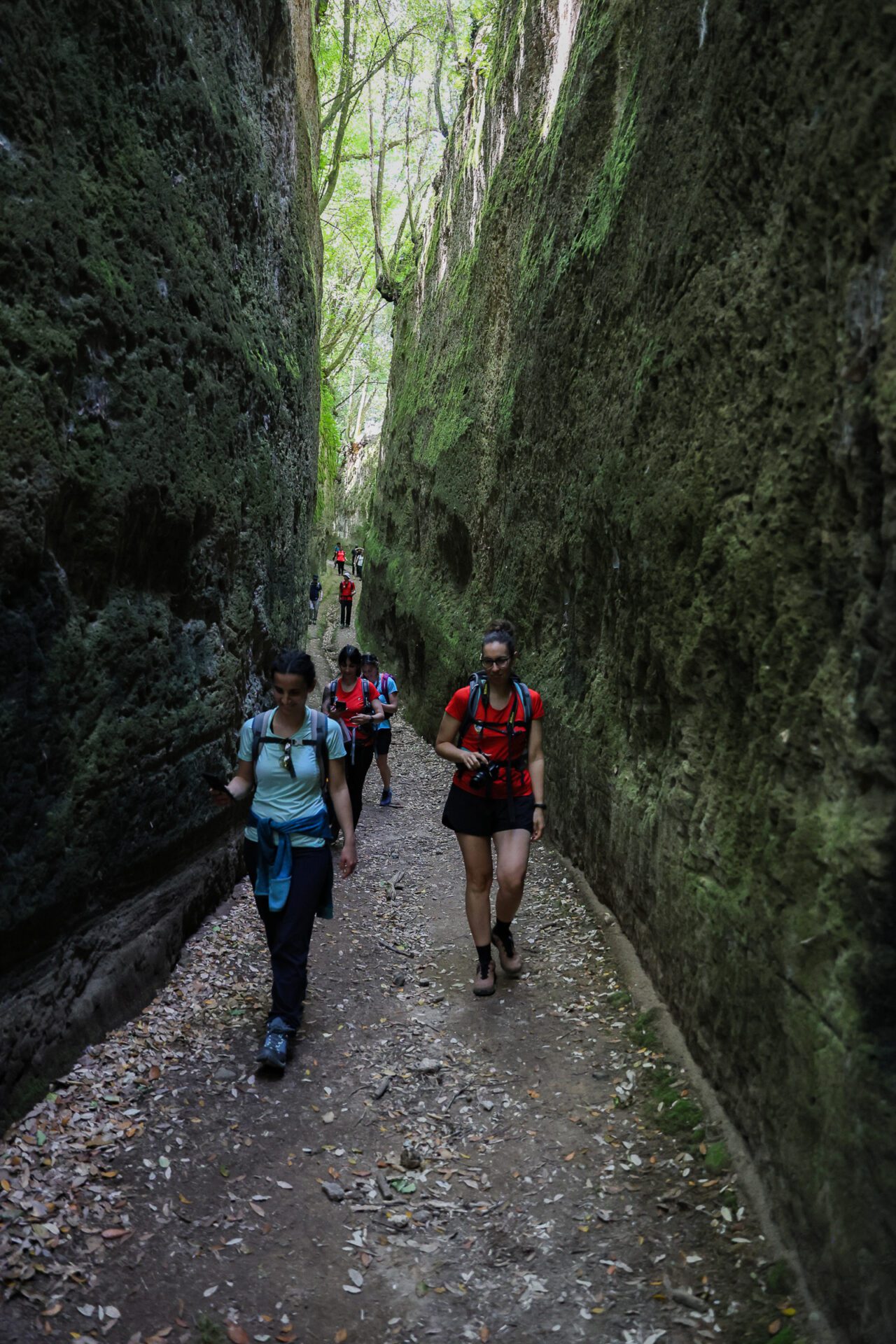 Escursioni Vie Cave Pitigliano-49