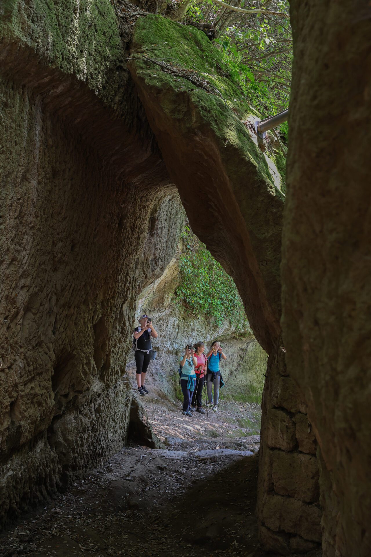 Escursioni Vie Cave Pitigliano-91