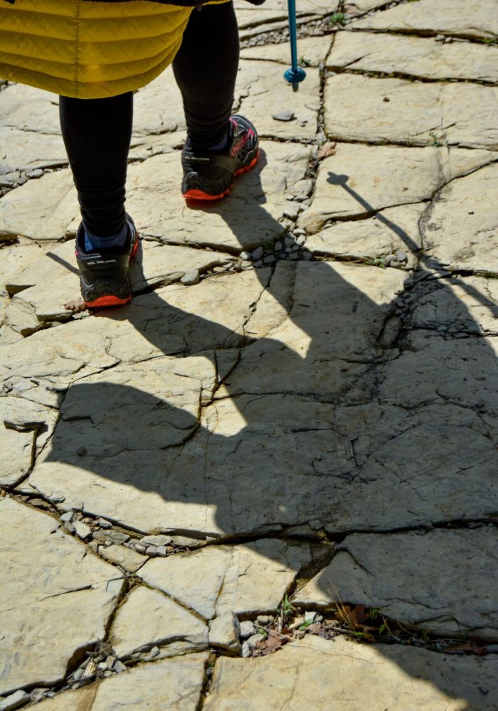 I massicci mesozoici dell’Umbria: il Monte Acuto