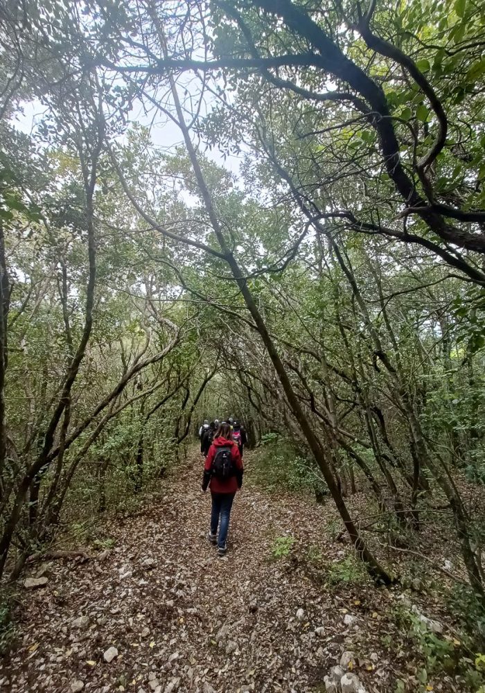 Nei boschi del Monte Tezio